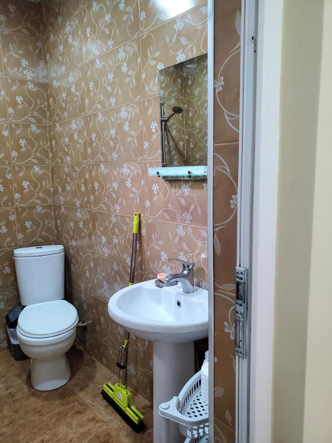 Guest House Agmashenebeli 229 Koboeleti Buitenkant foto